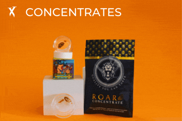 shop concentrates